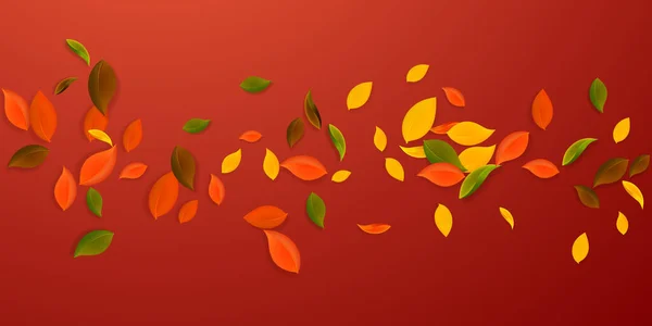 Folhas de outono caindo. Vermelho, amarelo, verde, marrom c —  Vetores de Stock