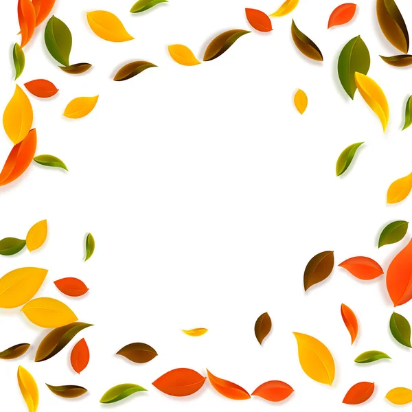 Feuilles d'automne tombantes. Rouge, jaune, vert, brun c — Image vectorielle