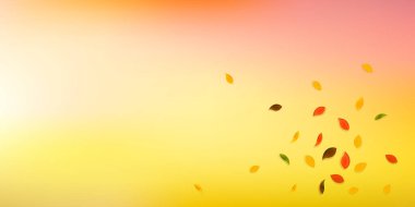 Sonbahar yaprakları dökülüyor. Kırmızı, sarı, yeşil, kahverengi...