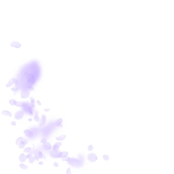Лепестки фиолетовых цветов падают. Подлинная романтика — стоковый вектор