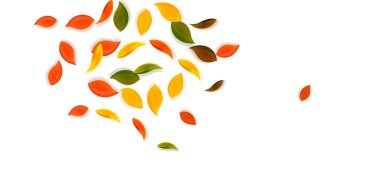 Sonbahar yaprakları dökülüyor. Kırmızı, sarı, yeşil, kahverengi