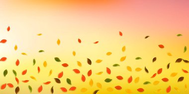 Sonbahar yaprakları dökülüyor. Kırmızı, sarı, yeşil, kahverengi...