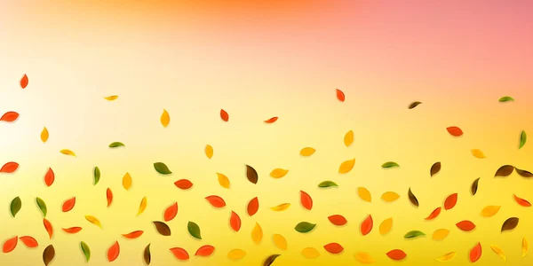 낙엽이 떨어진다. 빨강, 노랑, 초록, 갈색 r — 스톡 벡터