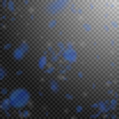 Koyu mavi çiçek yaprakları dökülüyor. Muhteşem rom.