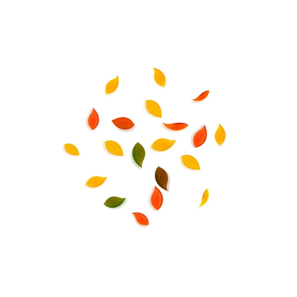 秋天落叶。红色、黄色、绿色、褐色 — 图库矢量图片