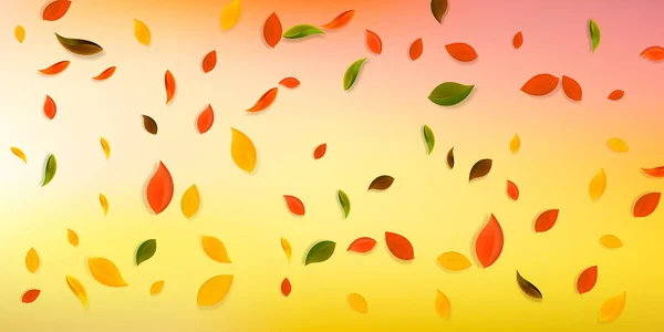 Falling autumn leaves. Red, yellow, green, brown c — Stock Vector