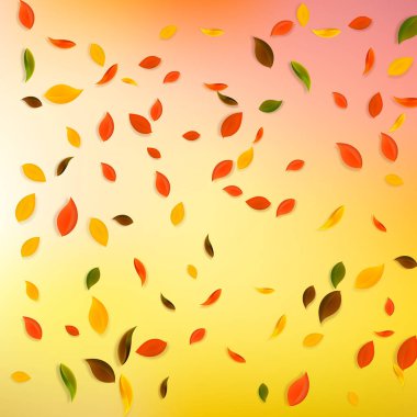 Sonbahar yaprakları dökülüyor. Kırmızı, sarı, yeşil, kahverengi c