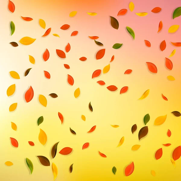 Putoavat syksyn lehdet. Punainen, keltainen, vihreä, ruskea c — vektorikuva