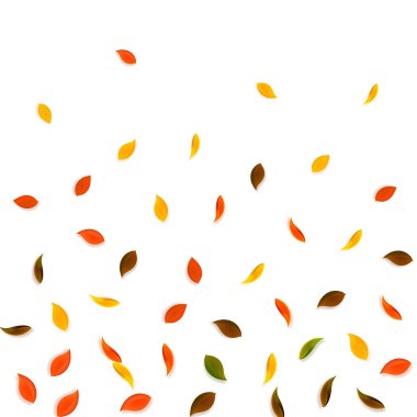 Sonbahar yaprakları dökülüyor. Kırmızı, sarı, yeşil, kahverengi...