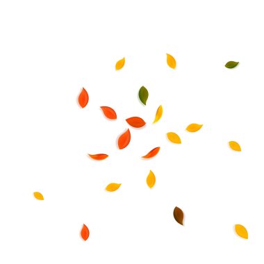 Sonbahar yaprakları dökülüyor. Kırmızı, sarı, yeşil, kahverengi...