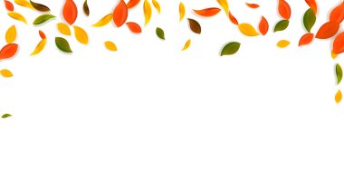 Sonbahar yaprakları dökülüyor. Kırmızı, sarı, yeşil, kahverengi c