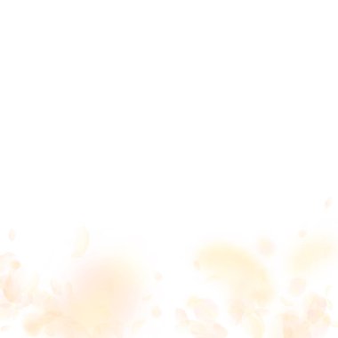 Sarı turuncu çiçek yaprakları dökülüyor. Antika r