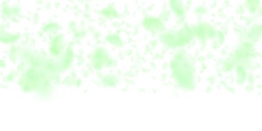 Yeşil çiçek yaprakları dökülüyor. Değerli romantik 