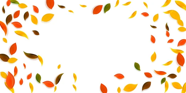 Falling autumn leaves. Red, yellow, green, brown c — Stock Vector