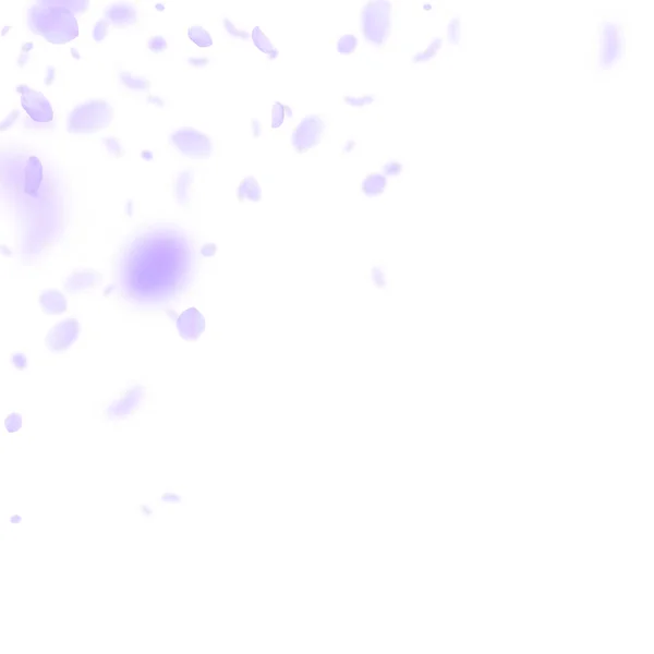 Violette bloemblaadjes vallen naar beneden. Sublieme romantiek — Stockvector