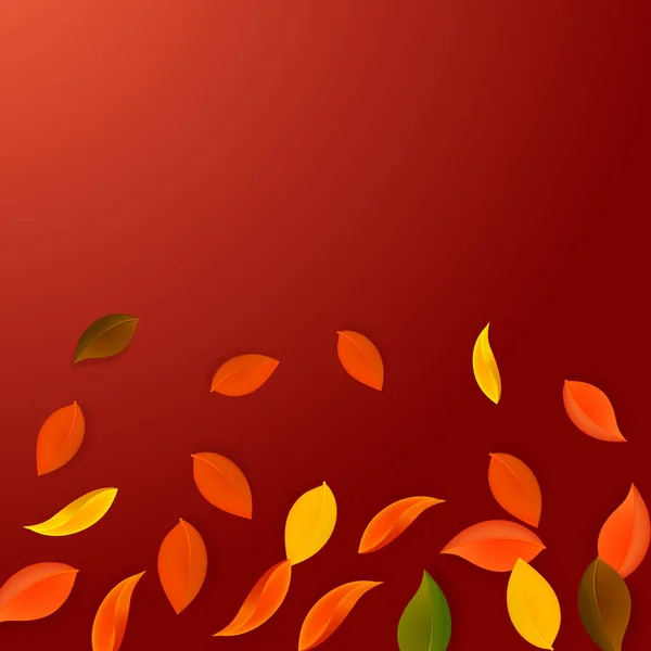 Feuilles d'automne tombantes. Rouge, jaune, vert, brun n — Image vectorielle