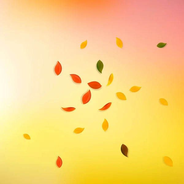 Dedaunan musim gugur yang berjatuhan. Merah, kuning, hijau, coklat r - Stok Vektor