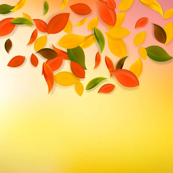 Folhas de outono caindo. Vermelho, amarelo, verde, marrom c — Vetor de Stock