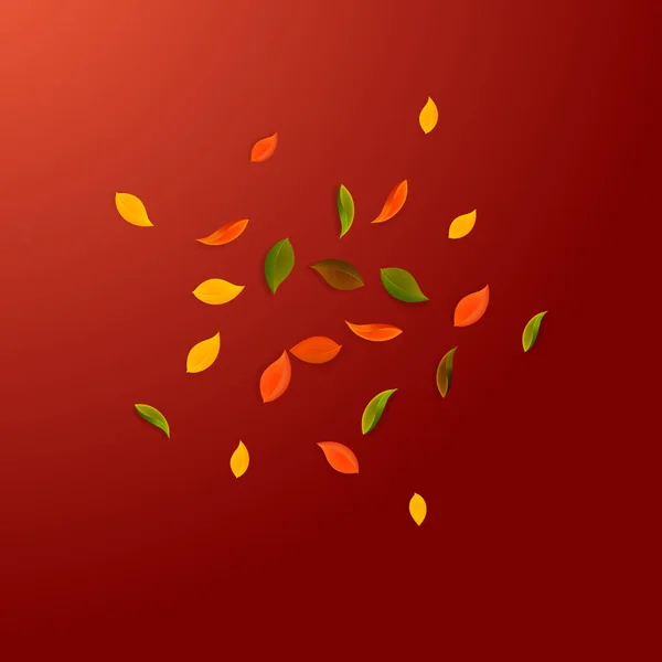 Падающие осенние листья. Красный, желтый, зеленый, коричневый r — стоковый вектор