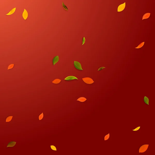 Падающие осенние листья. Красный, желтый, зеленый, коричневый r — стоковый вектор
