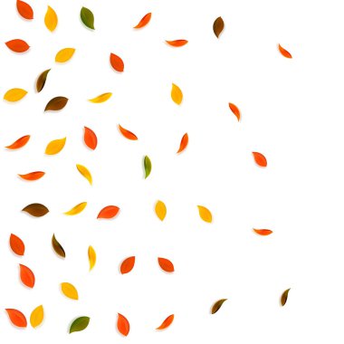 Sonbahar yaprakları dökülüyor. Kırmızı, sarı, yeşil, kahverengi...