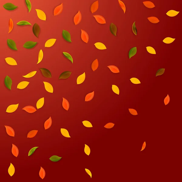 秋天落叶。红色、黄色、绿色、褐色 — 图库矢量图片
