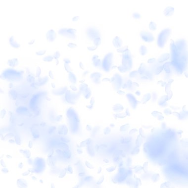 Açık mavi çiçek yaprakları dökülüyor. İdeal Roman