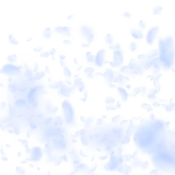 Pétalos de flor azul claro cayendo. Romana ideal — Vector de stock