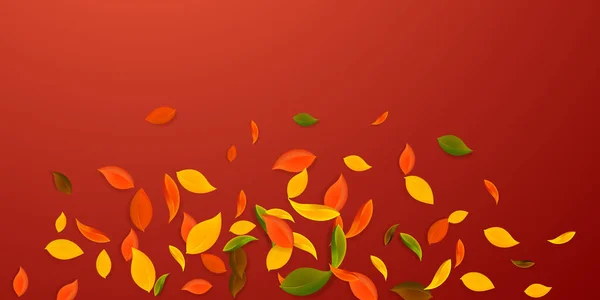 Feuilles d'automne tombantes. Rouge, jaune, vert, brun c — Image vectorielle