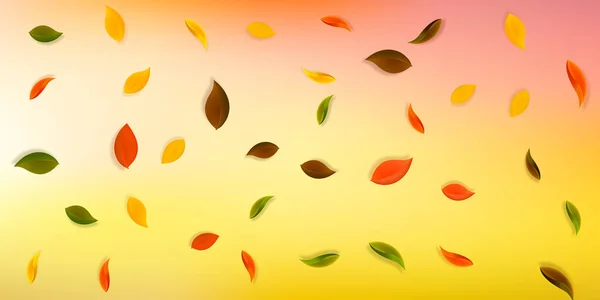 Feuilles d'automne tombantes. Rouge, jaune, vert, brun n — Image vectorielle