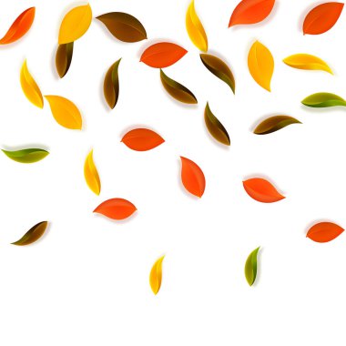 Sonbahar yaprakları dökülüyor. Kırmızı, sarı, yeşil, kahverengi