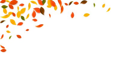 Sonbahar yaprakları dökülüyor. Kırmızı, sarı, yeşil, kahverengi c