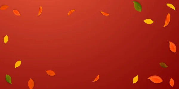 Dedaunan musim gugur yang berjatuhan. Merah, kuning, hijau, coklat n - Stok Vektor
