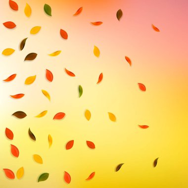 Sonbahar yaprakları dökülüyor. Kırmızı, sarı, yeşil, kahverengi...