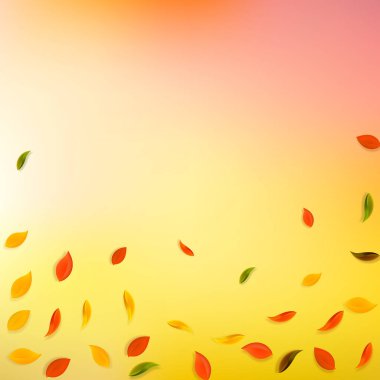 Sonbahar yaprakları dökülüyor. Kırmızı, sarı, yeşil, kahverengi...