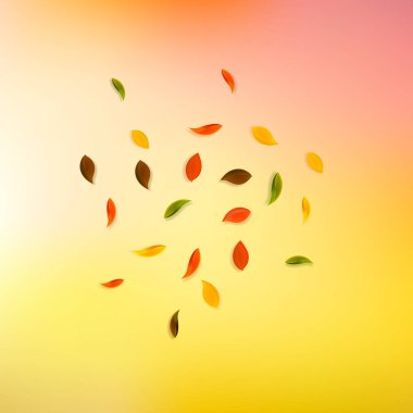 Sonbahar yaprakları dökülüyor. Kırmızı, sarı, yeşil, kahverengi...