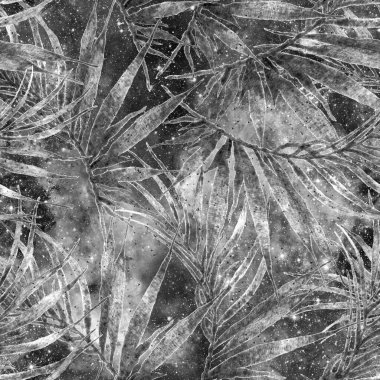 Palmiye yaprakları pürüzsüz. Siyah ve beyaz 