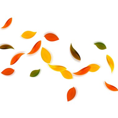 Sonbahar yaprakları dökülüyor. Kırmızı, sarı, yeşil, kahverengi