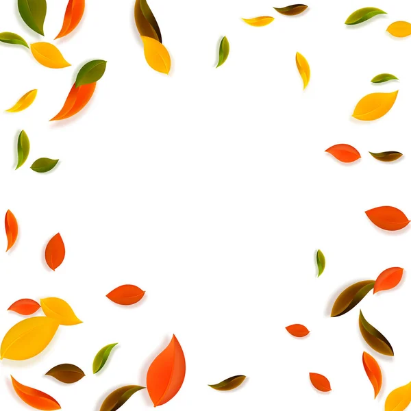 Feuilles d'automne tombantes. Rouge, jaune, vert, brun c — Image vectorielle