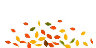 Sonbahar yaprakları dökülüyor. Kırmızı, sarı, yeşil, kahverengi