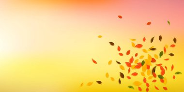 Sonbahar yaprakları dökülüyor. Kırmızı, sarı, yeşil, kahverengi c