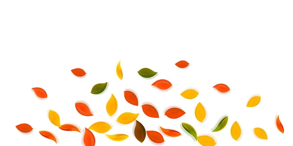 Падіння осіннього листя. Червоний, жовтий, зелений, коричневий n — стоковий вектор