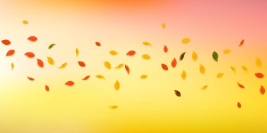 Sonbahar yaprakları dökülüyor. Kırmızı, sarı, yeşil, kahverengi...