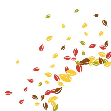 Sonbahar yaprakları dökülüyor. Kırmızı, sarı, yeşil, kahverengi c