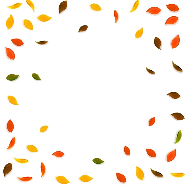 Feuilles d'automne tombantes. Rouge, jaune, vert, brun r — Image vectorielle