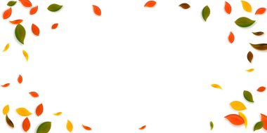 Sonbahar yaprakları dökülüyor. Kırmızı, sarı, yeşil, kahverengi c