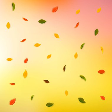 Sonbahar yaprakları dökülüyor. Kırmızı, sarı, yeşil, kahverengi...