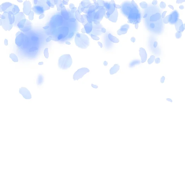 Pétalos de flor azul oscuro cayendo. Romma vibrante — Vector de stock