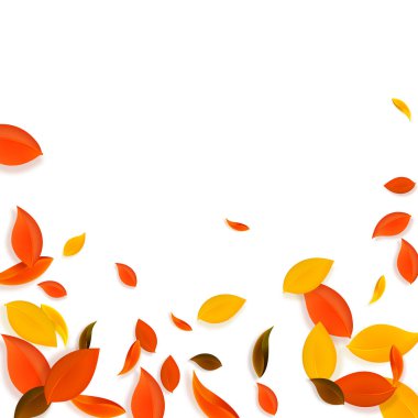 Sonbahar yaprakları dökülüyor. Kırmızı, sarı, yeşil, kahverengi c