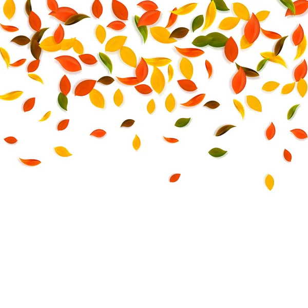 Hojas de otoño cayendo. Rojo, amarillo, verde, marrón c — Archivo Imágenes Vectoriales